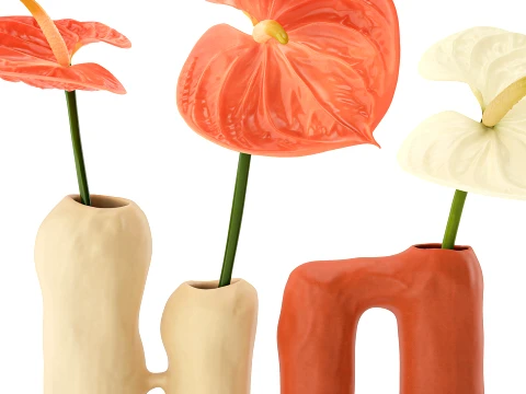 Minimalist Bouquet of White Flowers Anthurium Vase decor set 3D Model