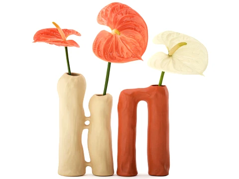 Minimalist Bouquet of White Flowers Anthurium Vase decor set 3D Model