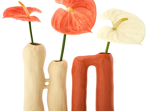 Minimalist Bouquet of White Flowers Anthurium Vase decor set 3D Model