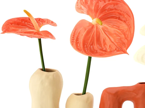 Minimalist Bouquet of White Flowers Anthurium Vase decor set 3D Model