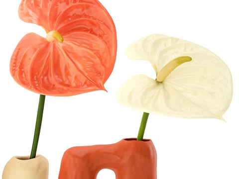 Minimalist Bouquet of White Flowers Anthurium Vase decor set 3D Model