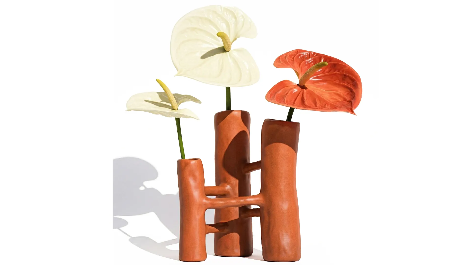 Minimalist Bouquet of White Flowers Anthurium Vase decor 3D Model .c4d .max .obj .3ds .fbx .stl .blend 