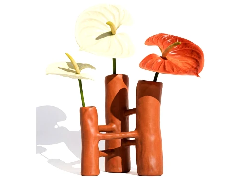 Minimalist Bouquet of White Flowers Anthurium Vase decor 3D Model