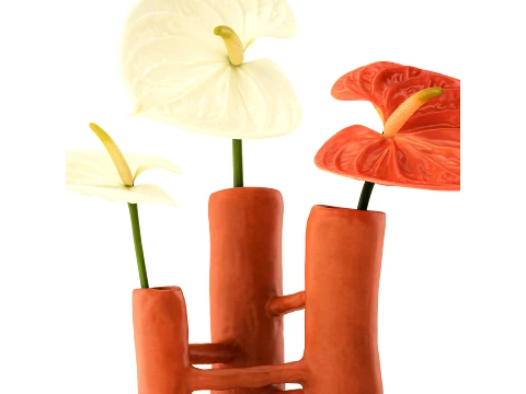 Minimalist Bouquet of White Flowers Anthurium Vase decor 3D Model