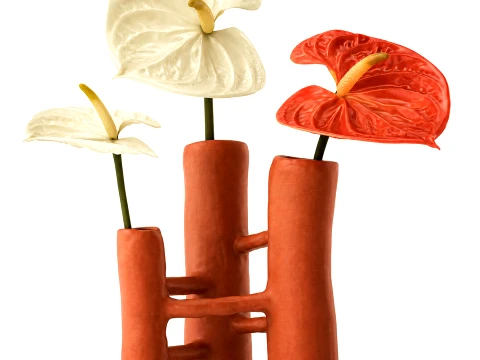 Minimalist Bouquet of White Flowers Anthurium Vase decor 3D Model