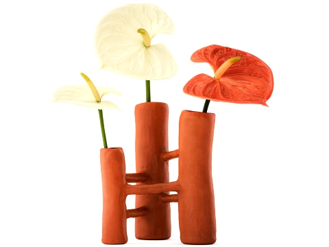 Minimalist Bouquet of White Flowers Anthurium Vase decor 3D Model