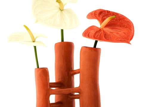 Minimalist Bouquet of White Flowers Anthurium Vase decor 3D Model