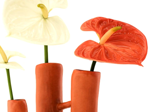 Minimalist Bouquet of White Flowers Anthurium Vase decor 3D Model
