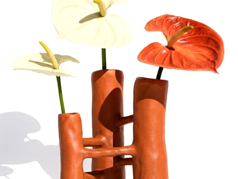 Minimalist Bouquet of White Flowers Anthurium Vase decor 3D Model