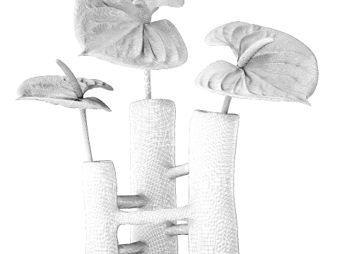 Minimalist Bouquet of White Flowers Anthurium Vase decor 3D Model