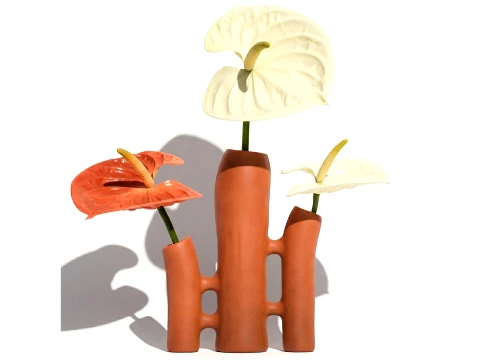 Minimalist Bouquet of White Flowers Anthurium Vase decor 3D Model