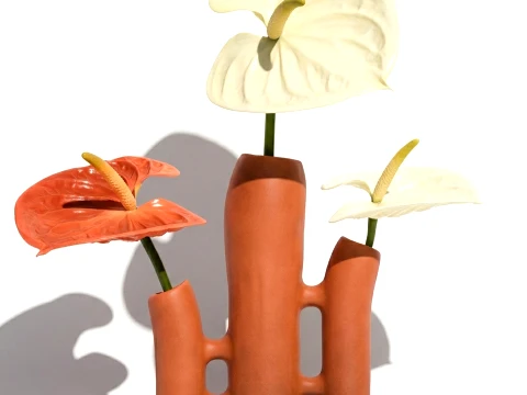 Minimalist Bouquet of White Flowers Anthurium Vase decor 3D Model