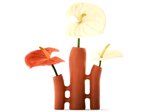Minimalist Bouquet of White Flowers Anthurium Vase decor 3D Model