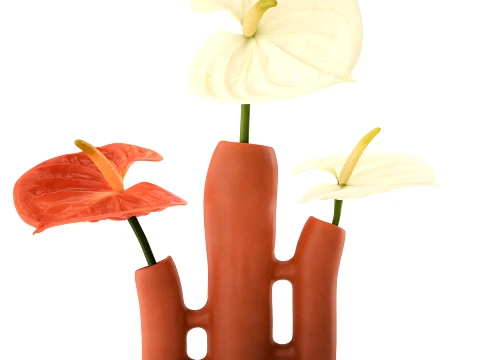 Minimalist Bouquet of White Flowers Anthurium Vase decor 3D Model