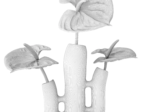Minimalist Bouquet of White Flowers Anthurium Vase decor 3D Model