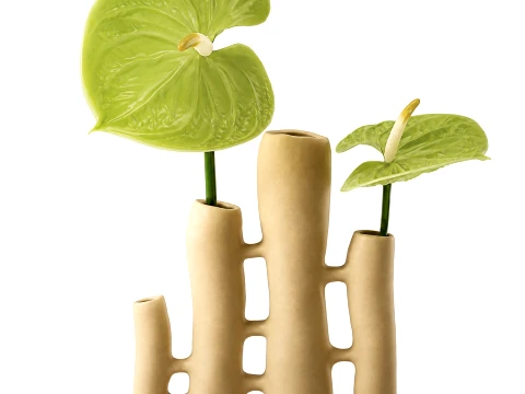 Minimalist Bouquet of green Flowers Anthurium Vase decor 3D Model