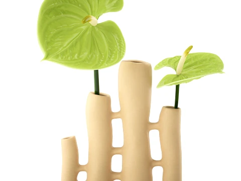 Minimalist Bouquet of green Flowers Anthurium Vase decor 3D Model