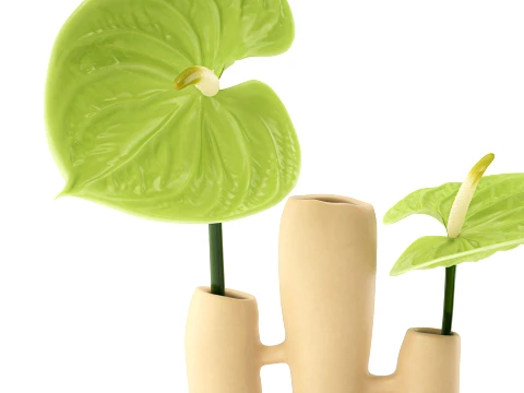 Minimalist Bouquet of green Flowers Anthurium Vase decor 3D Model