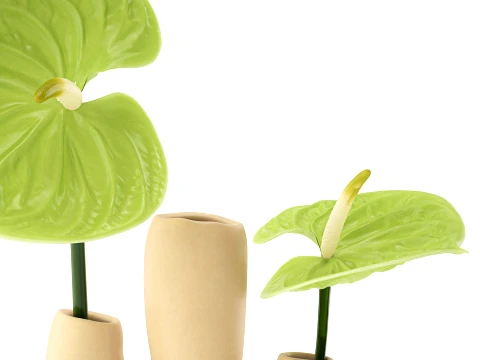 Minimalist Bouquet of green Flowers Anthurium Vase decor 3D Model
