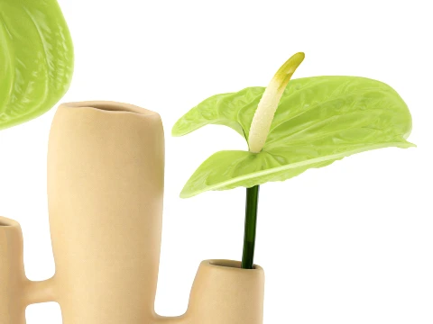 Minimalist Bouquet of green Flowers Anthurium Vase decor 3D Model