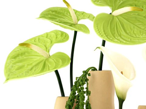 Bouquet White Flowers Anthurium Calla Amaranth Vase decor 3D Model
