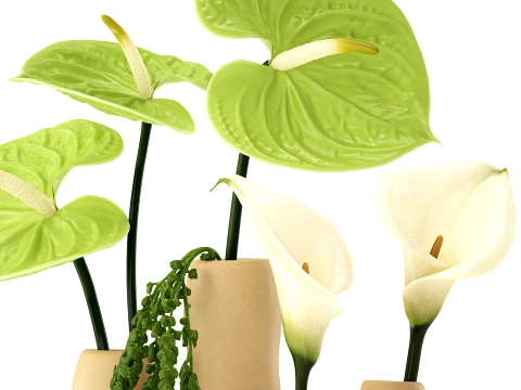 Bouquet White Flowers Anthurium Calla Amaranth Vase decor 3D Model