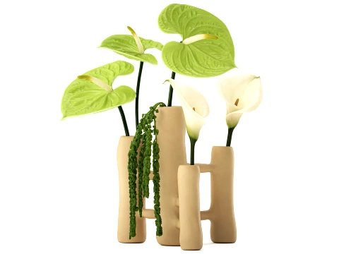 Bouquet White Flowers Anthurium Calla Amaranth Vase decor 3D Model