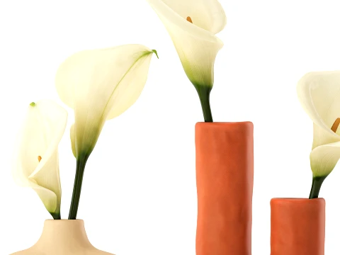 Bouquet White Flower Calla Vase sculptural decor set 3D Model
