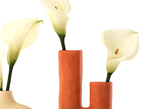 Bouquet White Flower Calla Vase sculptural decor set 3D Model
