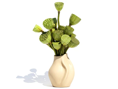 Bouquet green flowers small ceramic vase lotus dry decor 3D Model