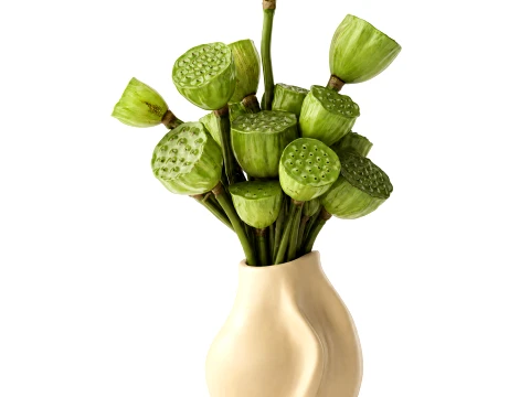 Bouquet green flowers small ceramic vase lotus dry decor 3D Model