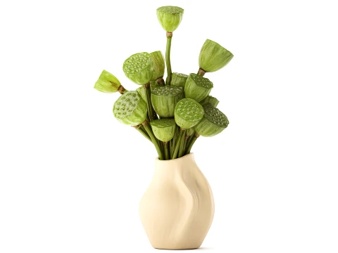 Bouquet green flowers small ceramic vase lotus dry decor 3D Model