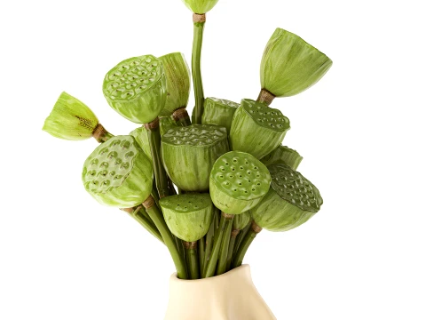 Bouquet green flowers small ceramic vase lotus dry decor 3D Model