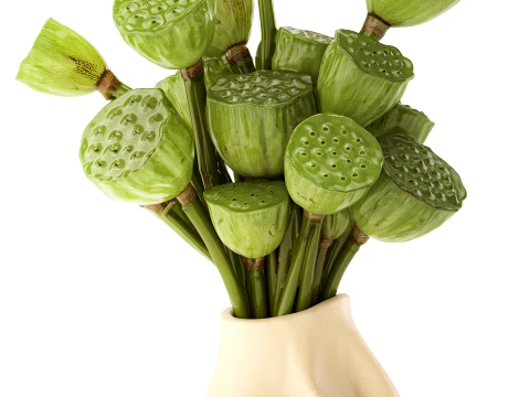 Bouquet green flowers small ceramic vase lotus dry decor 3D Model