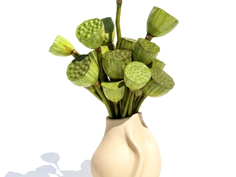 Bouquet green flowers small ceramic vase lotus dry decor 3D Model
