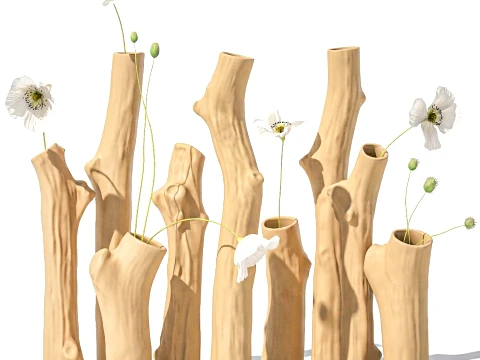 Branches Bouquet White Poppy Peony Vases set decor 3D Model