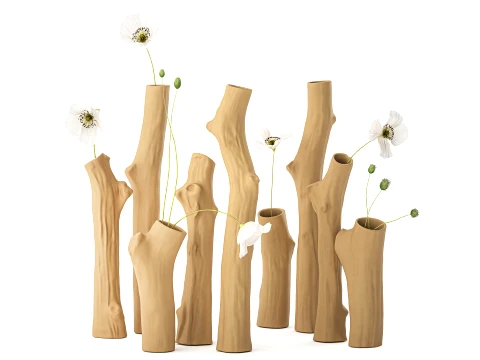 Branches Bouquet White Poppy Peony Vases set decor 3D Model