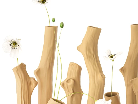 Branches Bouquet White Poppy Peony Vases set decor 3D Model