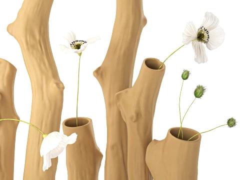 Branches Bouquet White Poppy Peony Vases set decor 3D Model