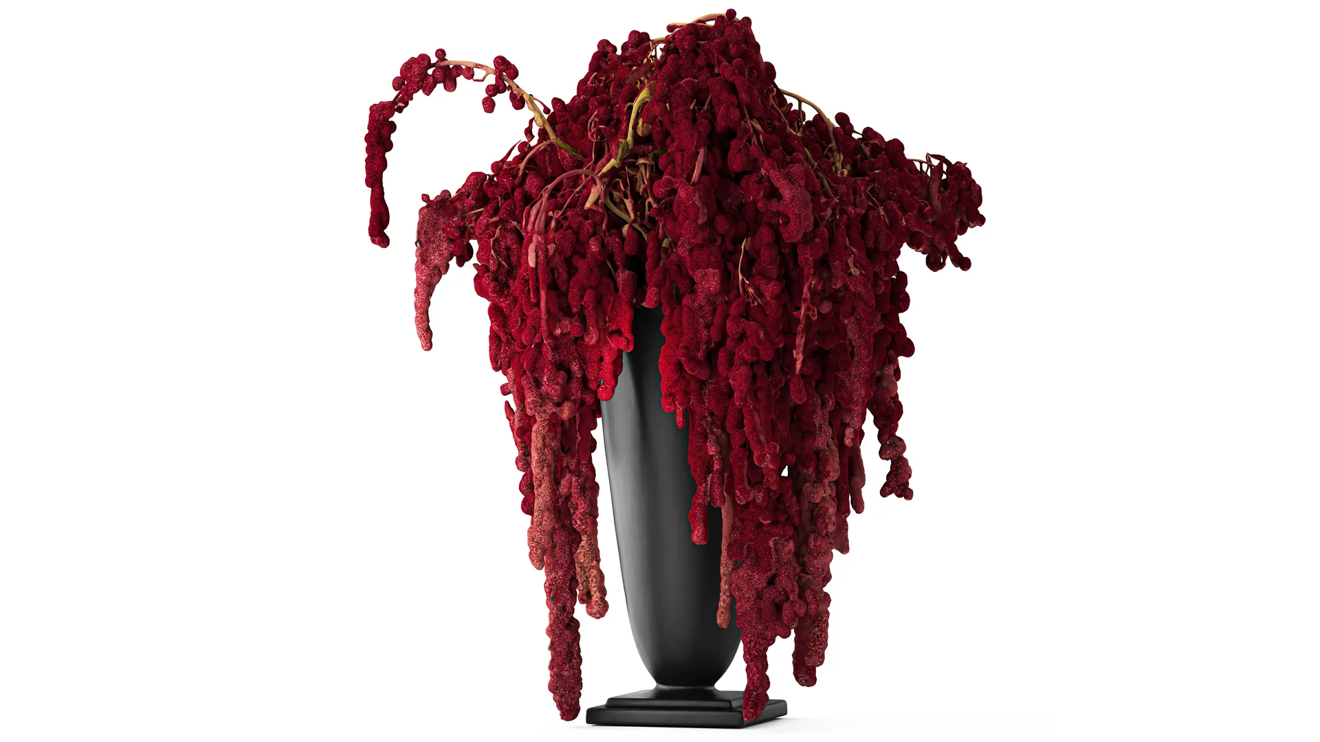 Bouquet of red burgundy drooping Amaranth flowers decor 3D Model .c4d .max .obj .3ds .fbx .stl .blend 