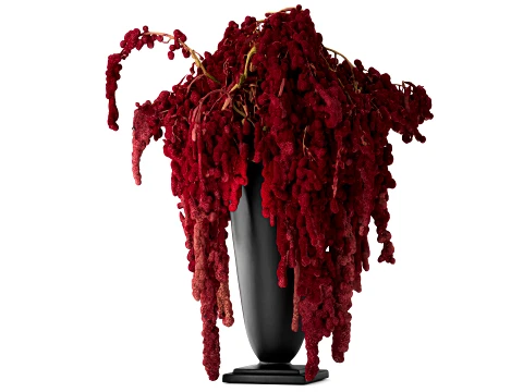 Bouquet of red burgundy drooping Amaranth flowers decor 3D Model