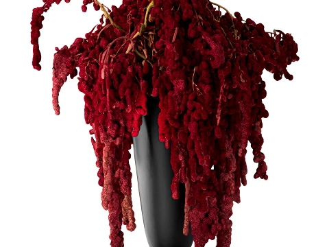 Bouquet of red burgundy drooping Amaranth flowers decor 3D Model