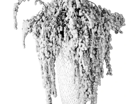 Bouquet of red burgundy drooping Amaranth flowers decor 3D Model