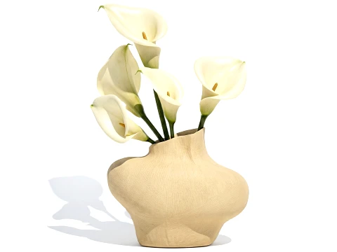 Bouquet White Flowers Calla Vase Zara Home decor 3D Model
