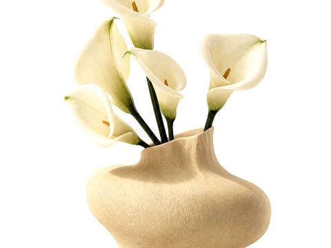 Bouquet White Flowers Calla Vase Zara Home decor 3D Model