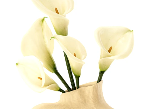 Bouquet White Flowers Calla Vase Zara Home decor 3D Model