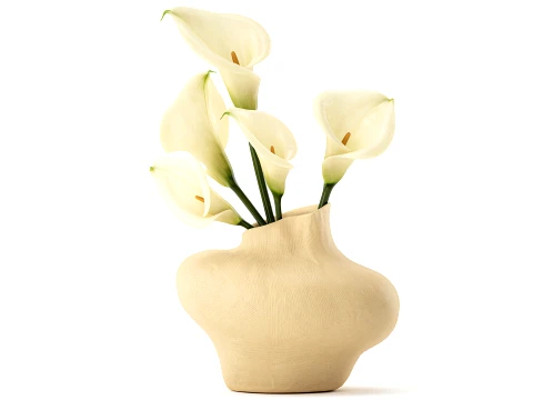 Bouquet White Flowers Calla Vase Zara Home decor 3D Model
