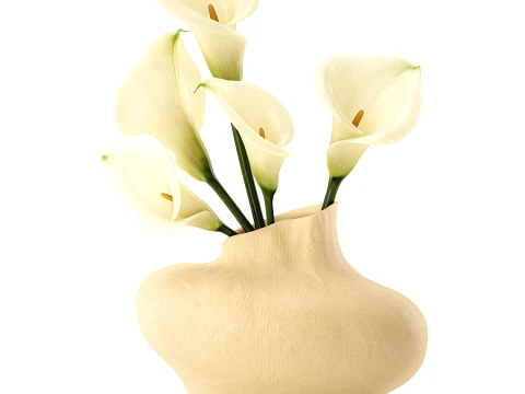Bouquet White Flowers Calla Vase Zara Home decor 3D Model