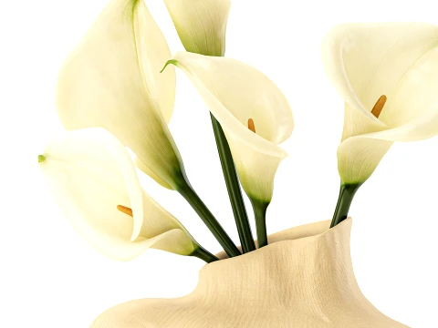 Bouquet White Flowers Calla Vase Zara Home decor 3D Model