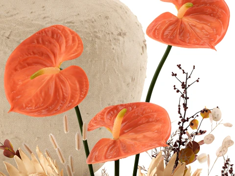 Autumn bouquet Protea Anthurium flower branches Zara Home 3D Model